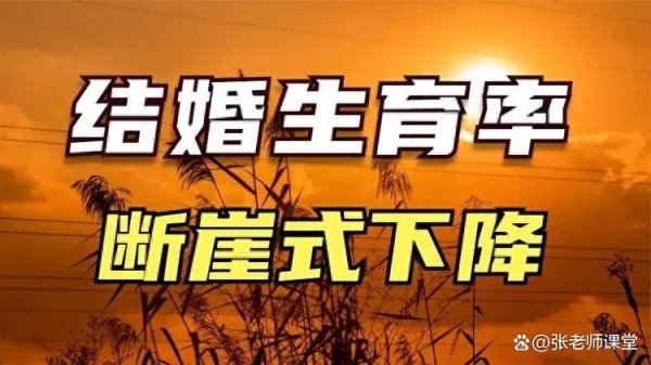 kaiyun官方网站不仅让孩子失去了童年的快意-云开全站app官网登录