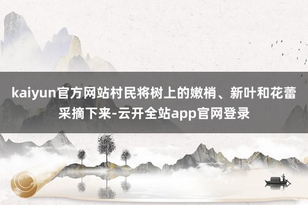 kaiyun官方网站村民将树上的嫩梢、新叶和花蕾采摘下来-云开全站app官网登录